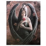 Tablou canvas Trandafirul Ingerului, 19x25cm - Anne Stokes
